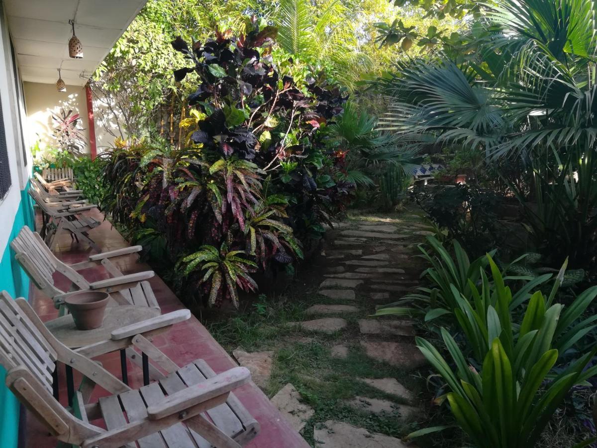 Hostal Harvest House León Exterior foto