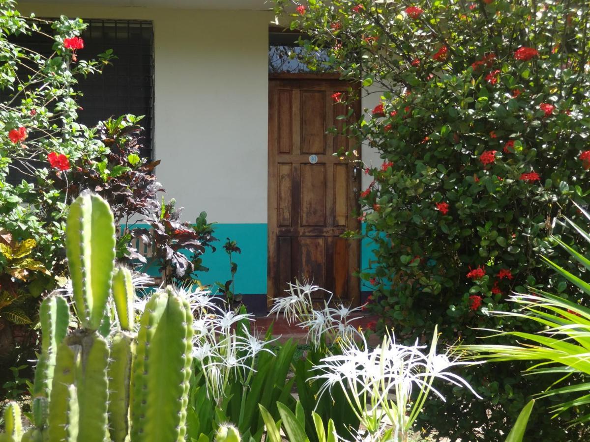 Hostal Harvest House León Exterior foto