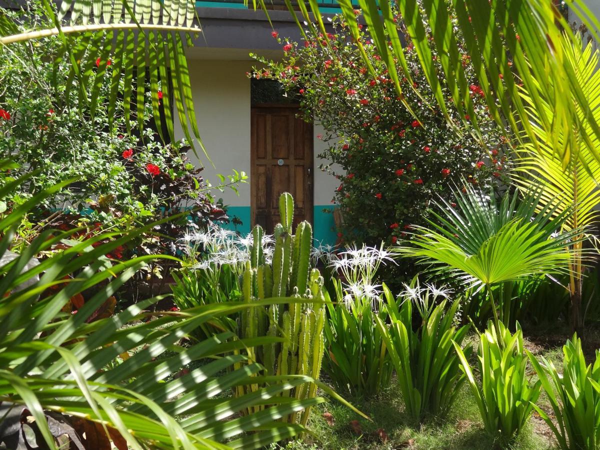 Hostal Harvest House León Exterior foto